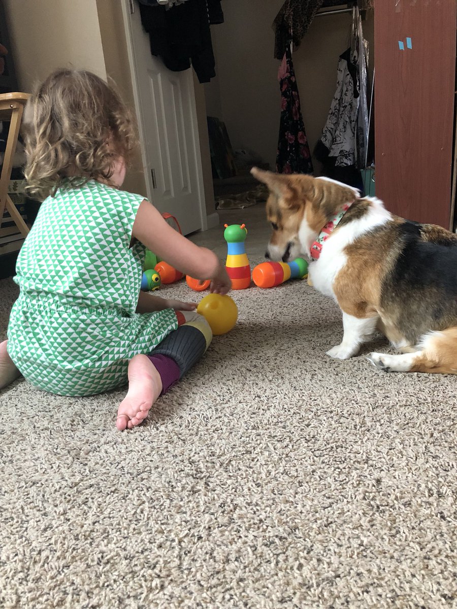 fcgiorda's tweet photo. As your constituent, I am asking you, @SenDonnelly, to #StopKavanuagh and vote NO on this nomination. My daughter deserves to grow up free. #GoTellJoe https://t.co/GGVt5YDEAF