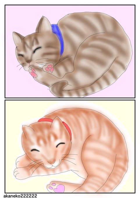 虎猫のtwitterイラスト検索結果 古い順 虎猫のtwitterイラスト検索結果 古い順