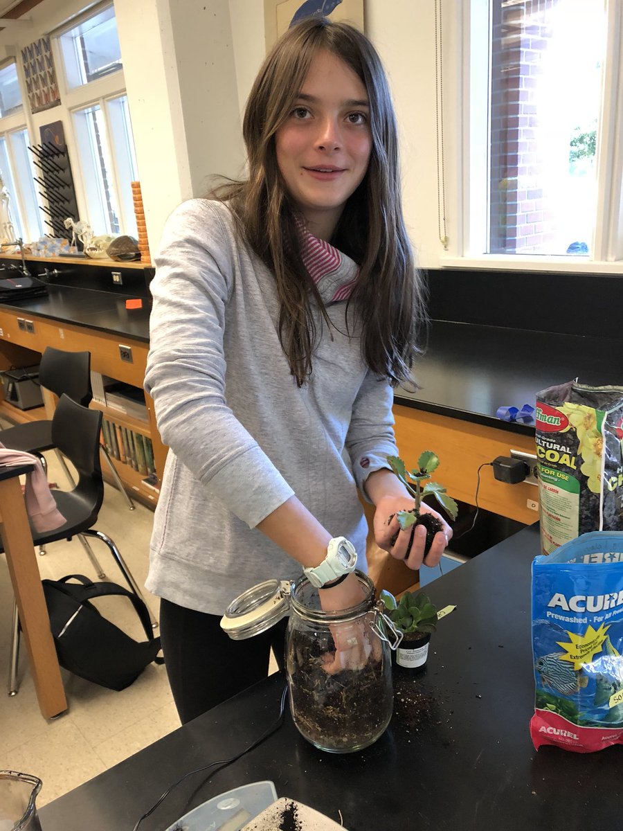 devin_parry's tweet photo. Back at it! Bio students creating Ecosystems in a jar to kick off the first week. #backtoschool https://t.co/cMgteTon2i