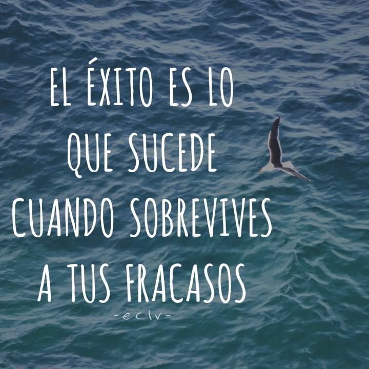 JairoHe19813645's tweet photo. #JuventudesMiraSosiego
#ComunicandoAndo @JuventudesMIRA https://t.co/N3M7BVPEze