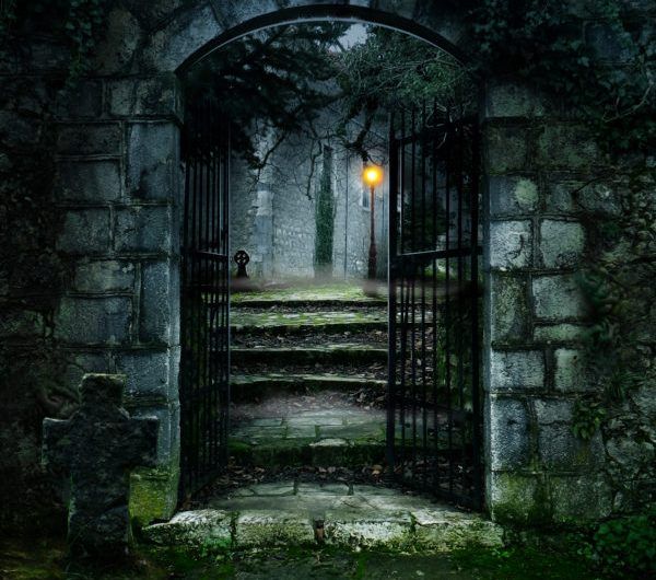 TenaStetler's tweet photo. Celebrate #nationalreadabookday - Enter Moonlight & Mystery's Tagline Contest. You know you want to, so what are you waiting for? Don't you love our spooky picture? #AHArp #WRPBKS #ABA #Mystery #taglines #BookTeasers Follow the link to enter. https://t.co/kLBWhy30TG https://t.co/uNerf5JMut