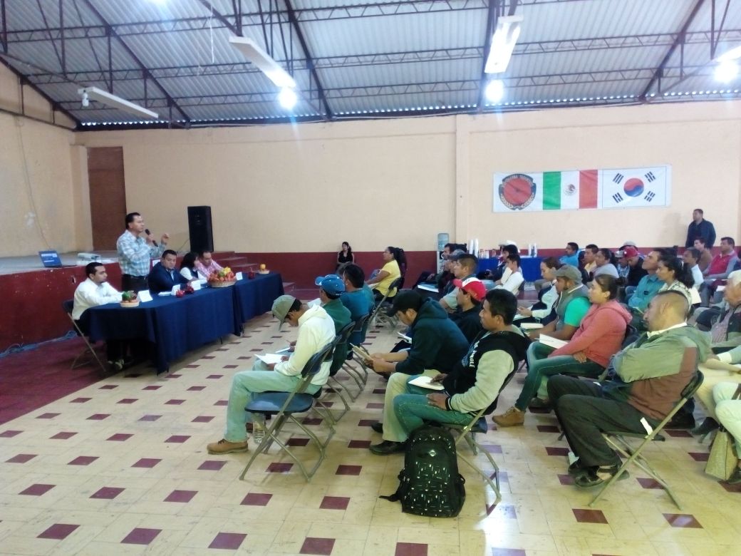 DDR06_HGO's tweet photo. Asistencia al curso de implementación de los sistemas de reducción de riesgos de contaminación en la agricultura, impartido por el #CESAVEH en el municipio de #Tecozautla; con la participación de 140 productores de la región, @SEDAGRO_HIDALGO y @SagarpaHgo https://t.co/9XstFFiwIc