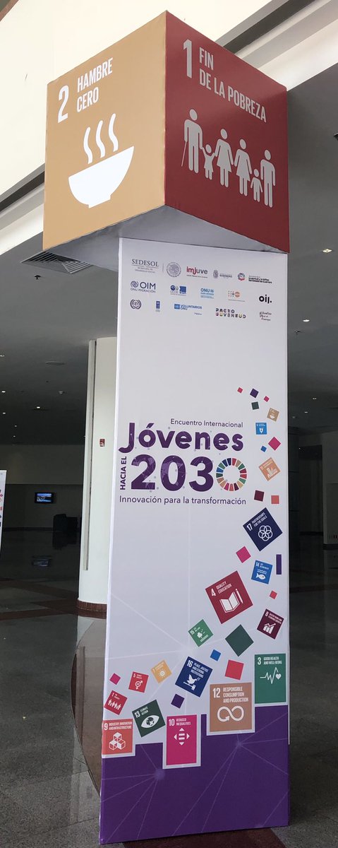 THPMexico's tweet photo. Hoy estamos en en Encuentro Internacional Jóvenes hacia el 2030, compartiendo parte del trabajo que realizamos por medio de @caidmex #JóvenesODSMx #YouthSDGMx en el panel Gobernanza 2.0 #ODS https://t.co/iLJhr6bsV2