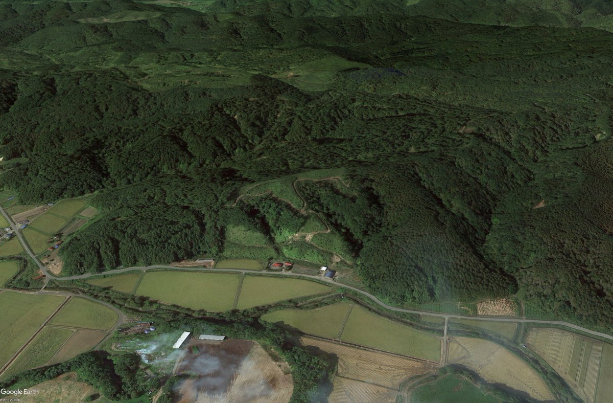 David Bressan tweet media