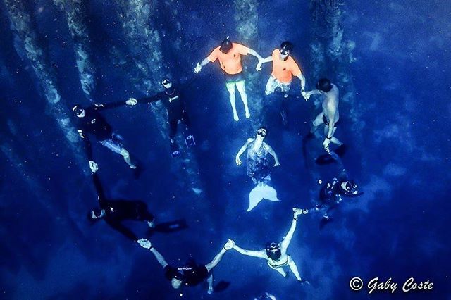 Gabyapnea's tweet photo. Ocean Guardians. .
.
#bonaire #freediving #freedivingphotography #gabycostephoto #mermaid #deepseafreediving #onebreathoneadventure #alwaysinventing https://t.co/6sp5EBnN07 https://t.co/grj4S3FyCa