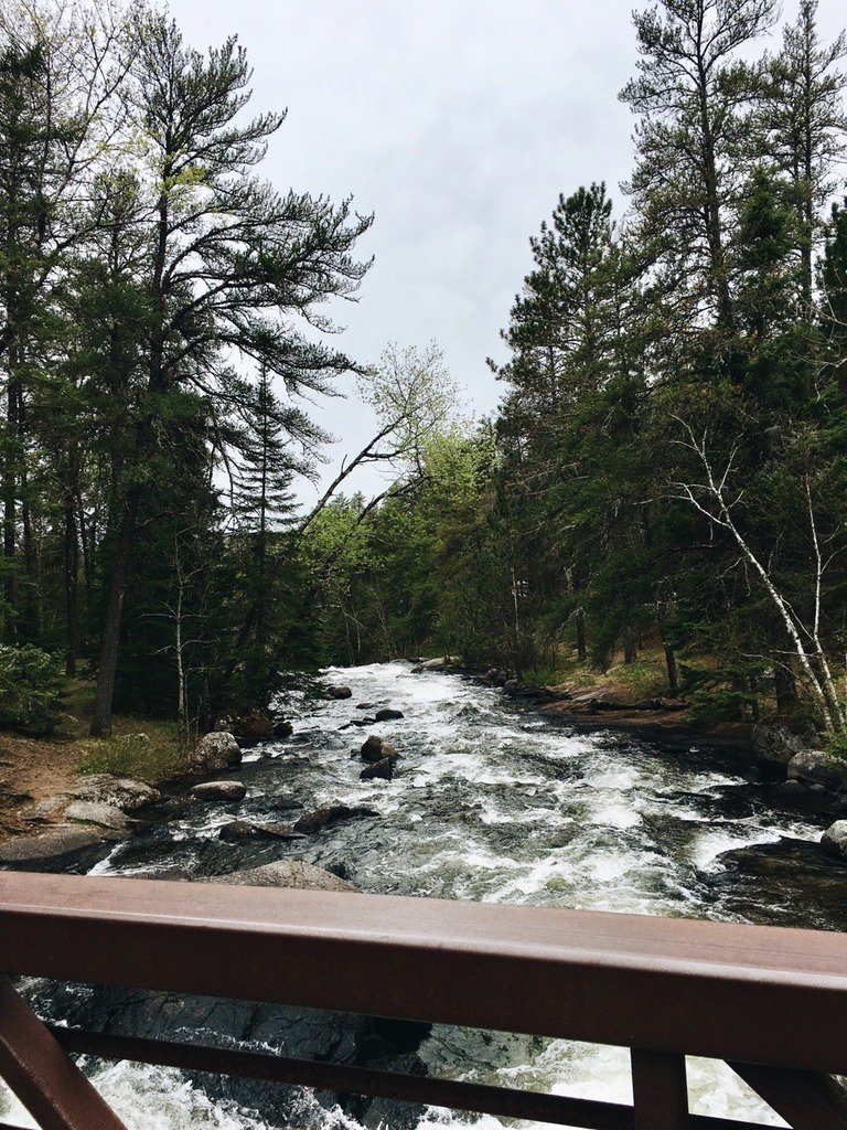 taiga_codex's tweet image. #nature #landscape #wilderness #earth See more: taiga-codex.com