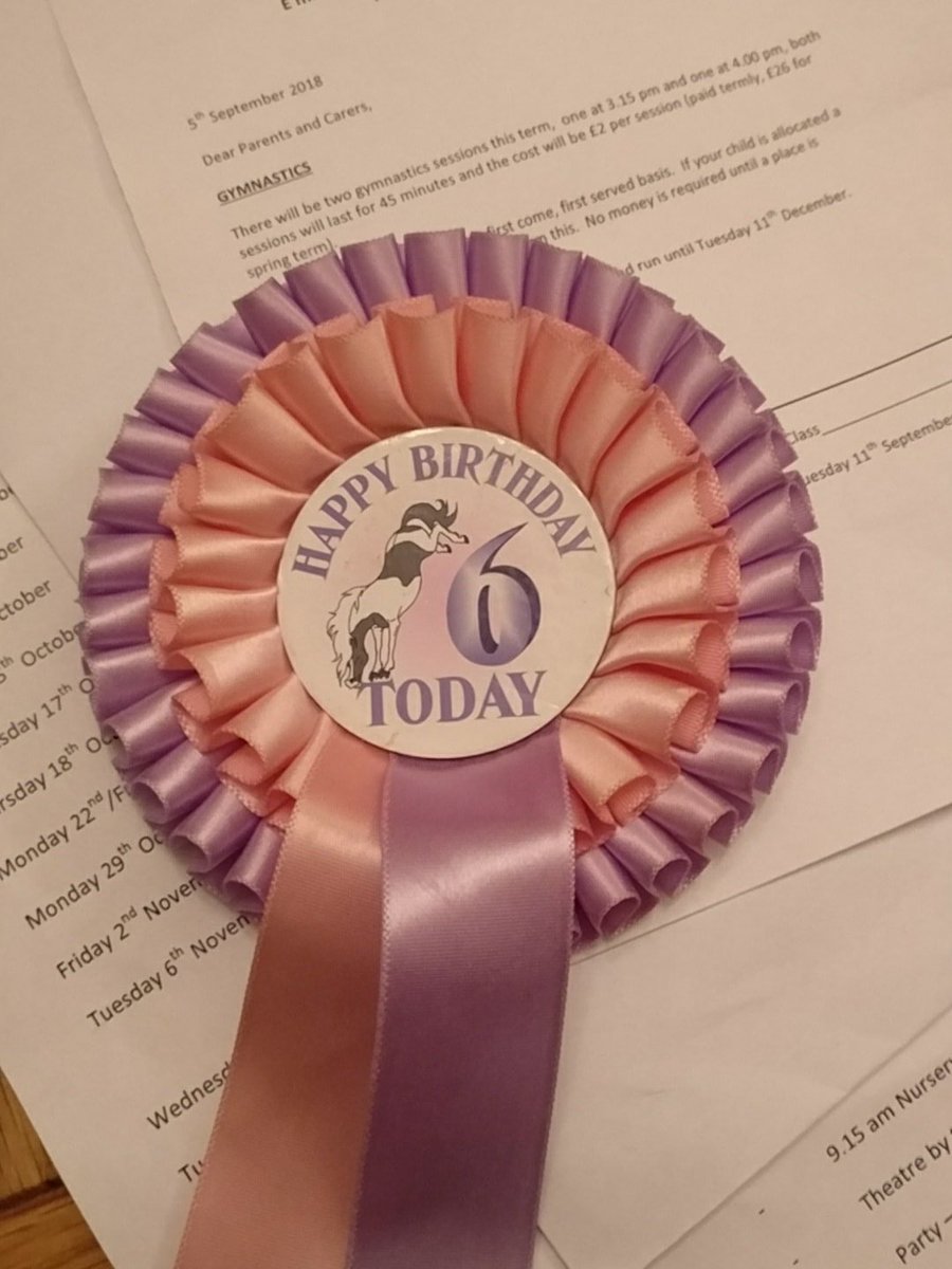 ruthielizzie's tweet photo. When you're off to the count and the only rosette you can find is your daughter's birthday rosette 🤔🤷#politicalproblems https://t.co/MQhz8dk9rQ