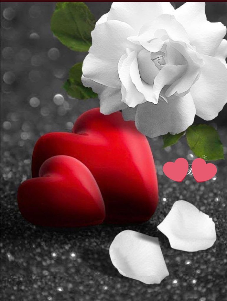 Открытки с любовью и нежностью. Любовь в цветах. Розы для любимой. Парень с розой. Розы с надписью.