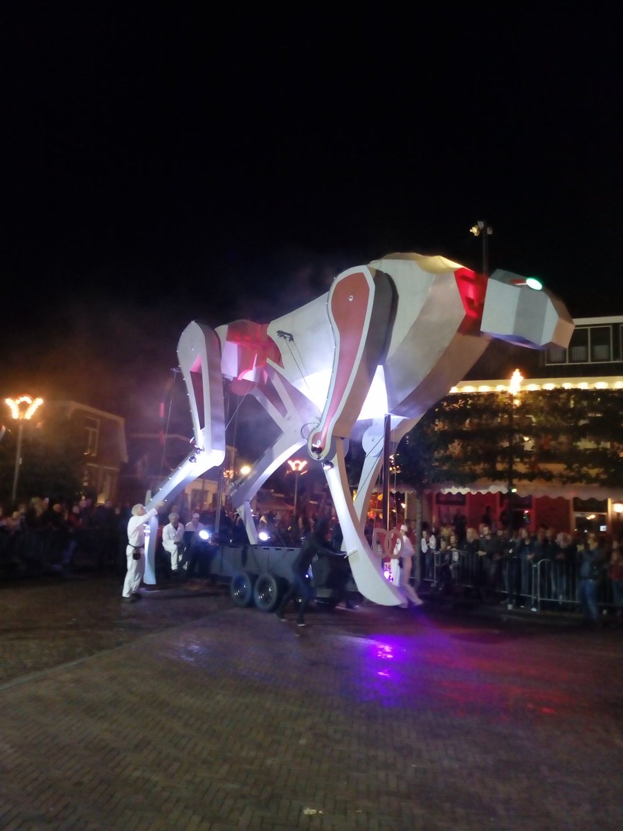 Kan zo met de #reuzen mee, wat een prachtige #creaties tijdens de #optocht in #sintnicolaasga