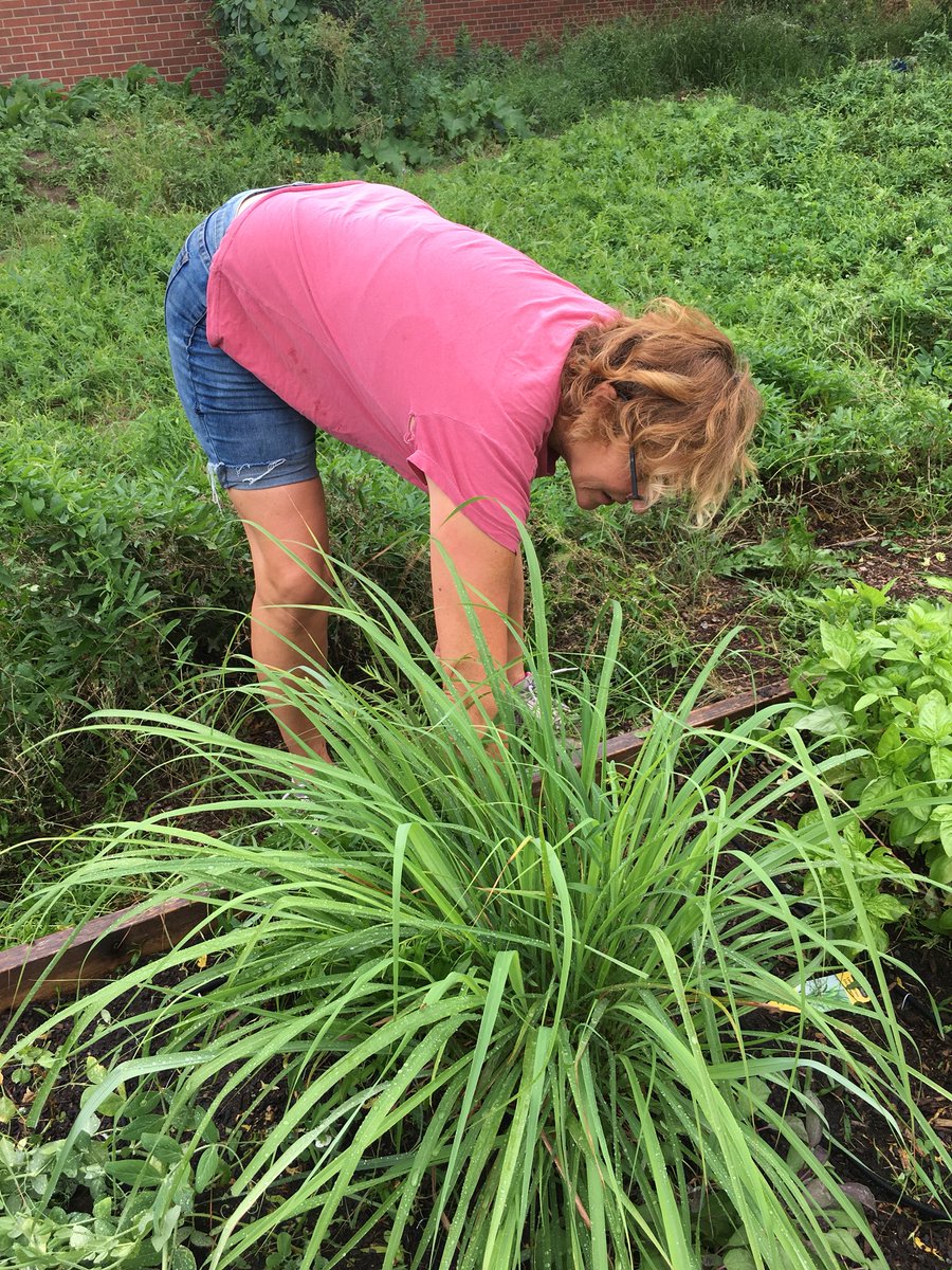 hellomskao's tweet photo. A summer of hard work yields many good things in the LCI garden! And the work isn’t over yet... #gardenersgetitdone @lakeshoreci https://t.co/WKEJ5EdL1Z