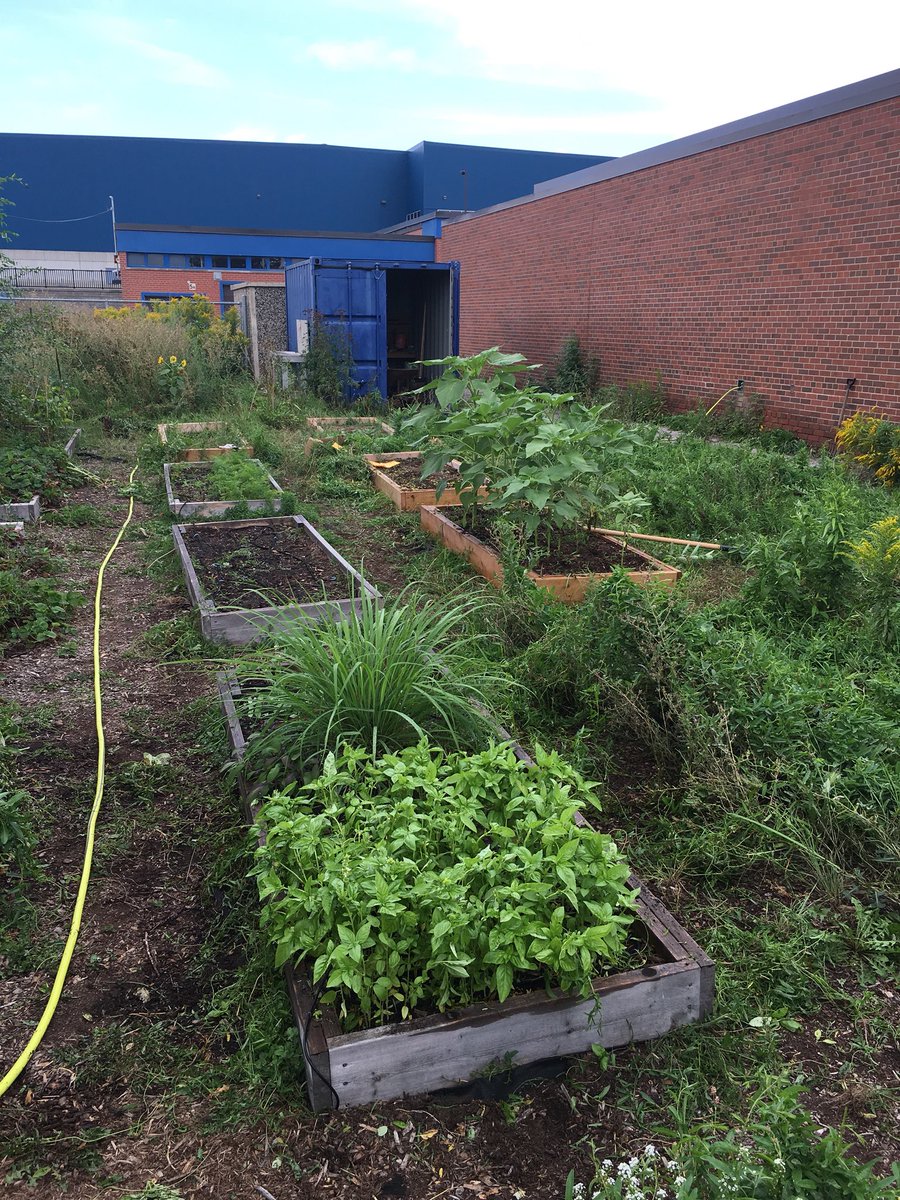 hellomskao's tweet photo. A summer of hard work yields many good things in the LCI garden! And the work isn’t over yet... #gardenersgetitdone @lakeshoreci https://t.co/WKEJ5EdL1Z