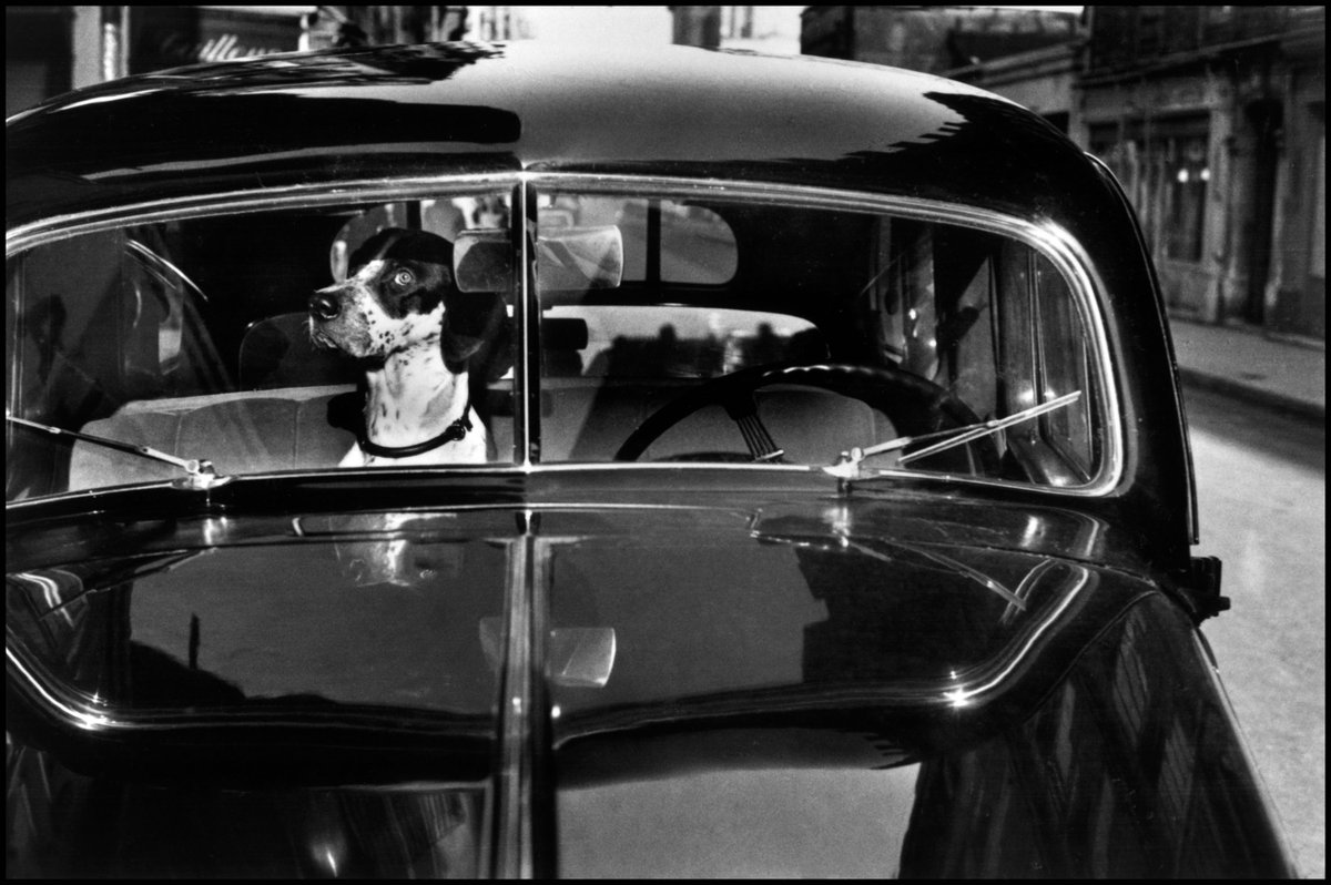 MagnumPhotos's tweet photo. New on the Magnum Shop: Bring classic Magnum images into your home this fall with these @PlinthUKart products: https://t.co/01ikhcbSMn

© Elliott Erwitt/Magnum Photos https://t.co/o860p1TrYU