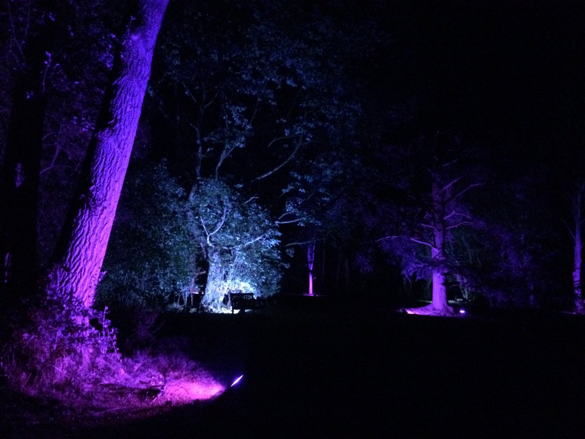 lauraaimeef's tweet photo. A suitably magical indigo forest for a night’s sleep before #BADth2018 - see you there tomorrow morning! #dramatherapy https://t.co/V8j5LXTafB