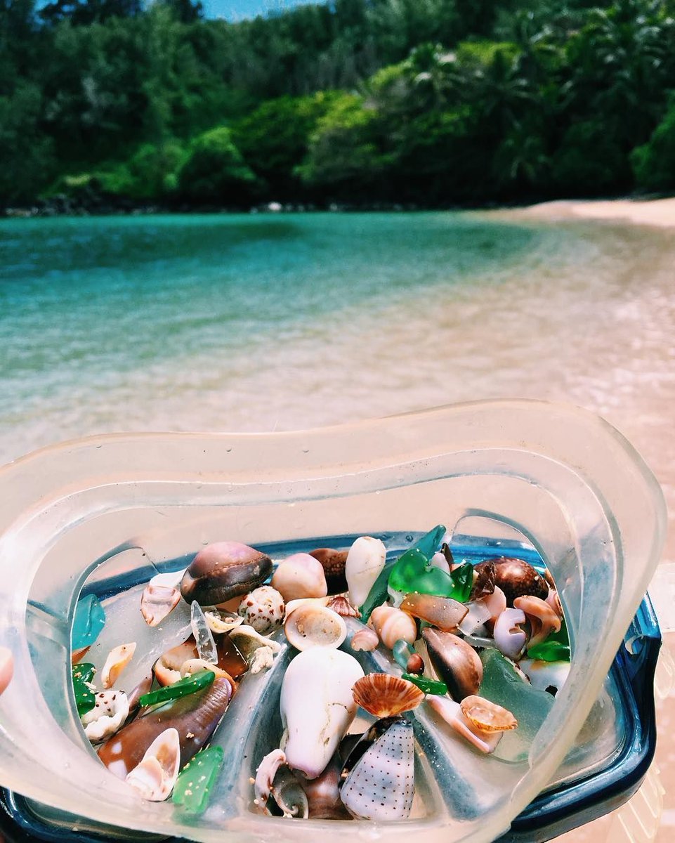 visual_supply's tweet image. beach findings 🐚🌊😍