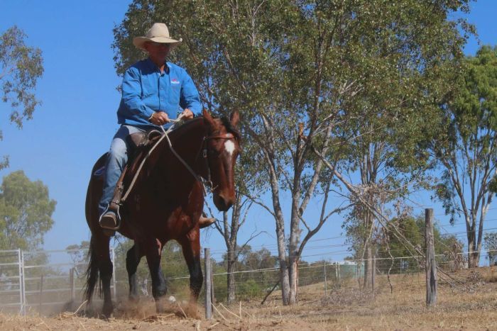 LaraWebster17's tweet photo. Make sure you tune in to @abclandline this weekend for my debut with the Comiskey Clan and their contribution to #campdrafting!
https://t.co/qCKK80jkwP https://t.co/9YT9IFllIU