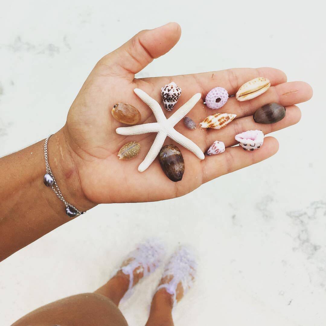 visual_supply's tweet image. beach findings 🐚🌊😍