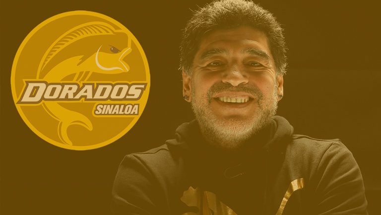 record_mexico's tweet photo. ¡BOMBAZO OFICIAL! 💣🐠

Maradona tomará las riendas de @Dorados...

¿Ya vieron quién será su auxiliar? ¡Increíble!

👉 https://t.co/qR4QN6Ydmf https://t.co/yrC5vdkhjv