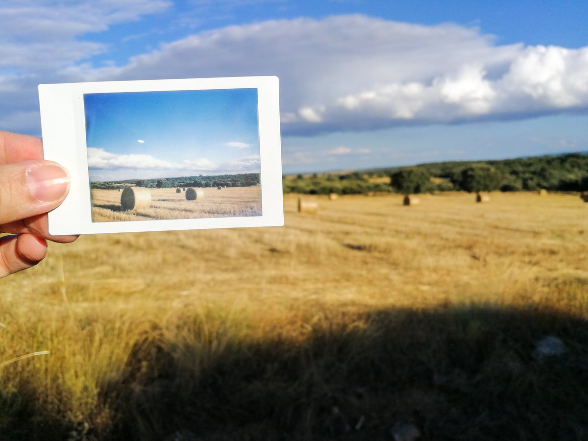lankara's tweet photo. Roadtrip 2018

#dianaf #instax #instaxmini #instant #instantphotography #lomography #toycamera #instantpicture #instantpic #instantcamera #instaday #instainstant #myinstax #analogphotography #TodaviaDisparoEnAnalogico #buyfilmnotmegapixels #carretezine #womenwhoshootfilm https://t.co/E9HwRKnFVR