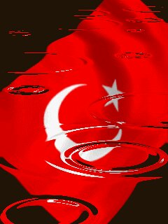 Erdall Namlı (@erdallnaml) on Twitter photo 