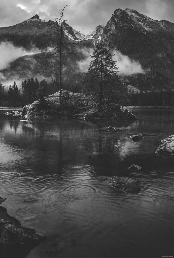 taiga_codex's tweet image. darkphotographs:

  Dark #nature #landscape #wilderness #earth See more: taiga-codex.com