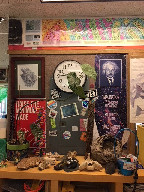 tworivers_schl's tweet photo. Check out the great science display! #SVSDEmpowered https://t.co/IORp8lw47V