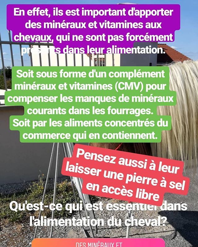 CavalierreRando's tweet photo. Réponses au quizz «alimentation du cheval» à lire dans mes stories Insta!
#poney #pony #cheval #horse #equestrian #cavalierre https://t.co/YBeQ75mt5T https://t.co/74ERTnuG77