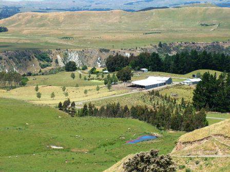 ruraldirections's tweet photo. NEW JOB VACANCY - SHEPHERD - KERERU STATION - HAWKE'S BAY - APPLY NOW!
https://t.co/ZhtYlxZKWb
#nzfarming #nzfarmingjobs #farmjobs #ruraljobs #nzjobs https://t.co/K9XynFXhZg
