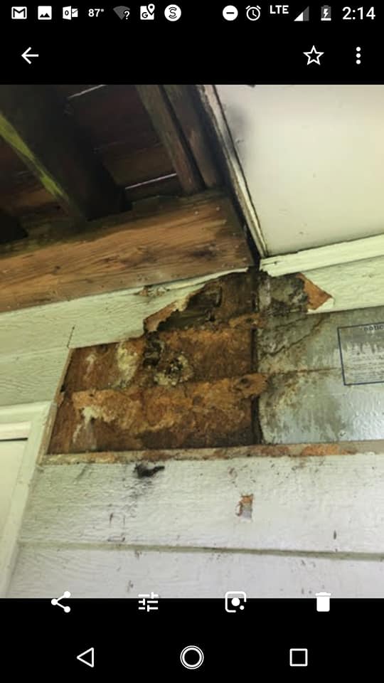 TenantsINVH's tweet image. THEN DO IT! Your buddy @Schwarzmanorg is HURTING WOMEN for PROFIT @Blackstone @InvitationHomes Enron turned of electricity for profit...Blackstone refuses repairs and evicts singleMoms/ Spec. Ed teachers for profit @EnronCapital fell #ClassAction #MassActions @Potus #HelpWomen