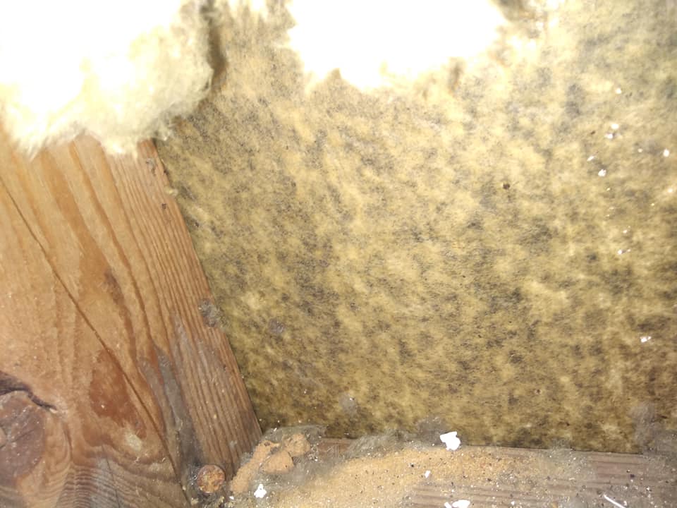 TenantsINVH's tweet image. THEN DO IT! Your buddy @Schwarzmanorg is HURTING WOMEN for PROFIT @Blackstone @InvitationHomes Enron turned of electricity for profit...Blackstone refuses repairs and evicts singleMoms/ Spec. Ed teachers for profit @EnronCapital fell #ClassAction #MassActions @Potus #HelpWomen