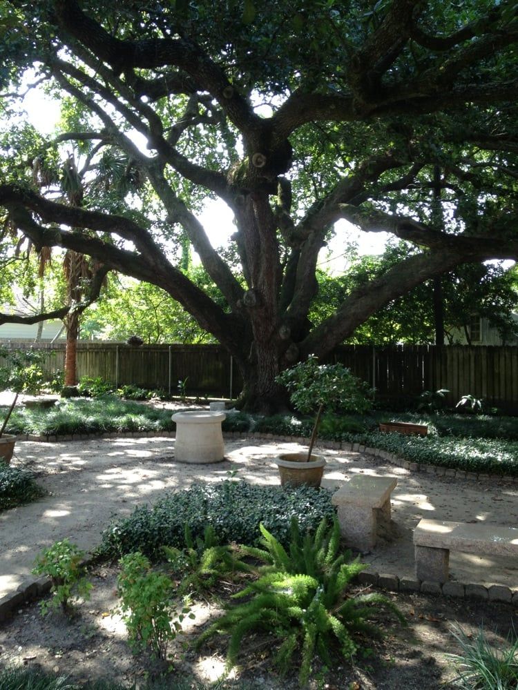 Metairie Road (@metairierd) on Twitter photo Have you discovered the secret garden at #JeffersonParishLibrary on <a href="/MetairieRoad/">Metairie Road</a>? This #NationalReadABookDay, head on over to one of our favorite haunts! π Have you discovered the secret garden at #JeffersonParishLibrary on <a href="/MetairieRoad/">Metairie Road</a>? This #NationalReadABookDay, head on over to one of our favorite haunts! π
