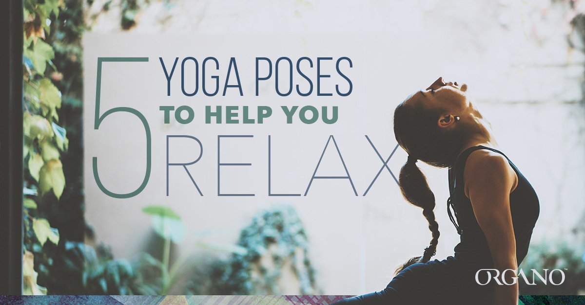 OrganoGold's tweet photo. Soothe Your Body and Mind with Yoga
#X4ever
 https://t.co/Uetqmlat4A https://t.co/jYAmgVlKL1