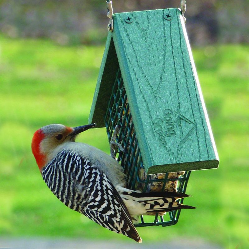 Cage feeders are quite popular among the differing types of suet feeders, but many don't come equipped with a cover to protect your feed from bad weather