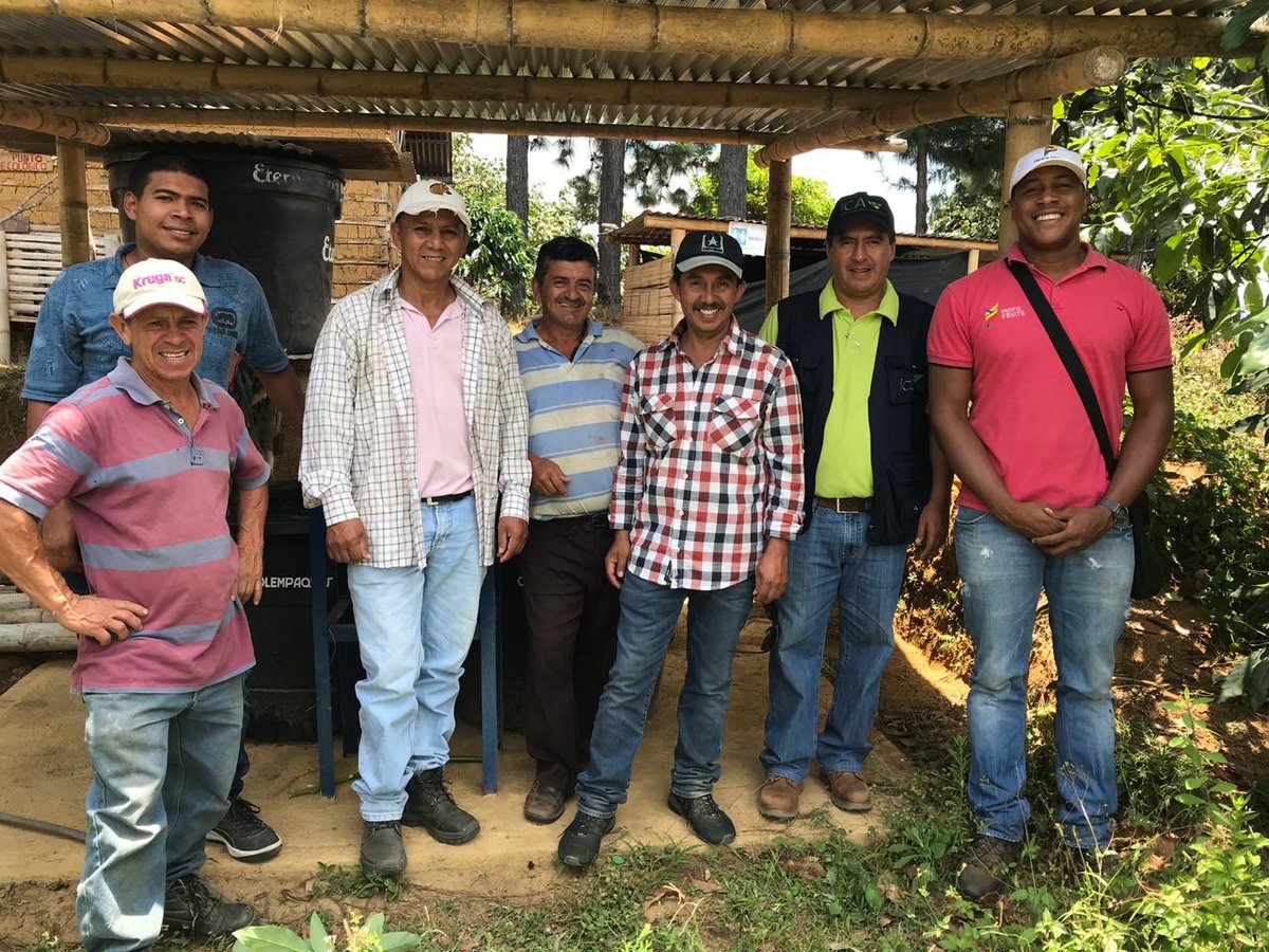 colfruits's tweet photo. En Morales,Cauca trabajo conjunto de @pacificfruitsin en el marco del programa #elagroexporta 
Se ven resultados; el esfuerzo, compromiso y trabajo conjunto de entidades como @AnaldexColombia @Asohofrucol @ICACOLOMBIA @PTPColombia @MinAgricultura vamos por buen camino 🇨🇴🥑🇨🇴 https://t.co/8Mfy9CTPQB