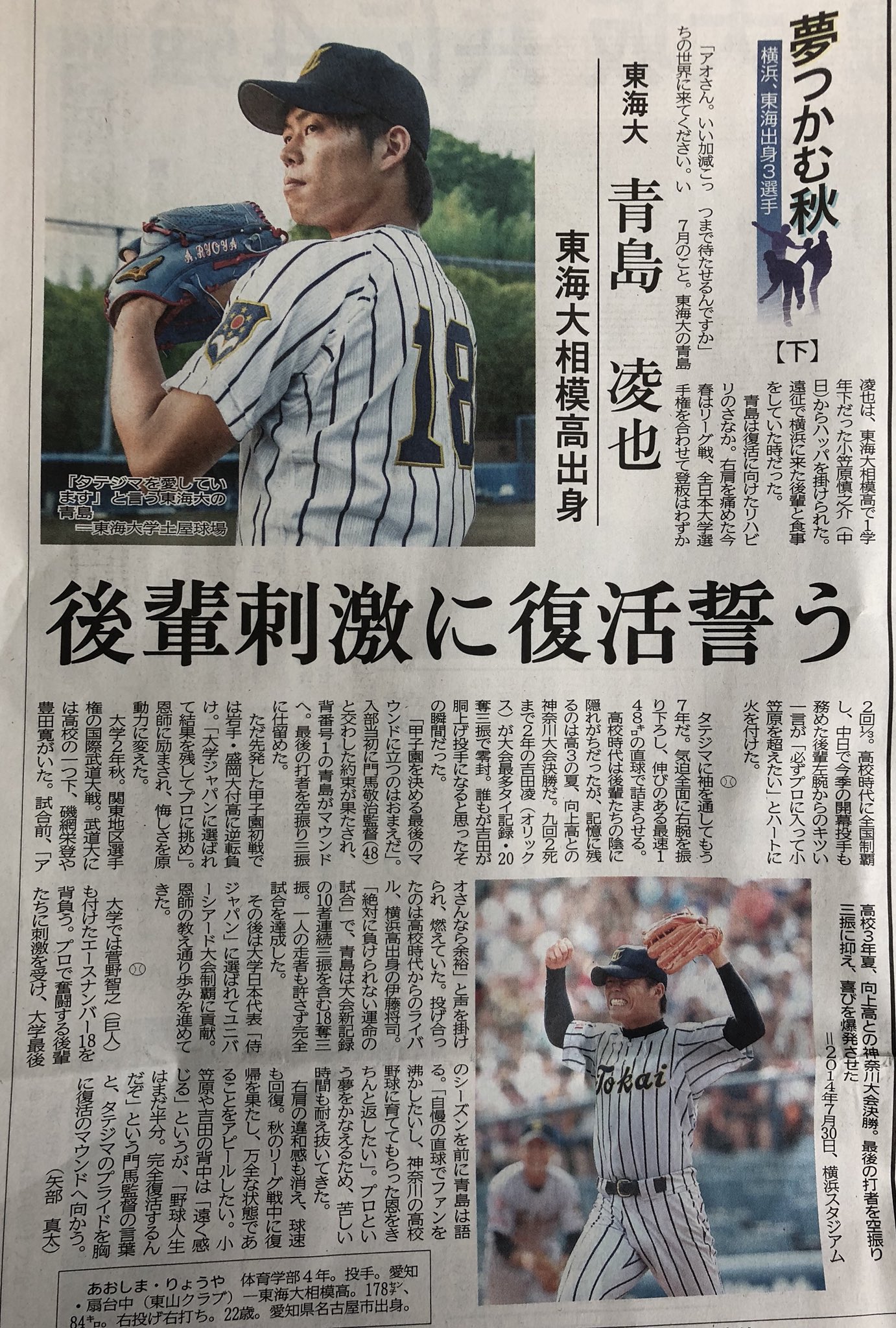 76歳ｏl 青島さん かなスポ 青島凌也 東海大学 首都大学野球 東海大相模 T Co Iotjurgd5i Twitter