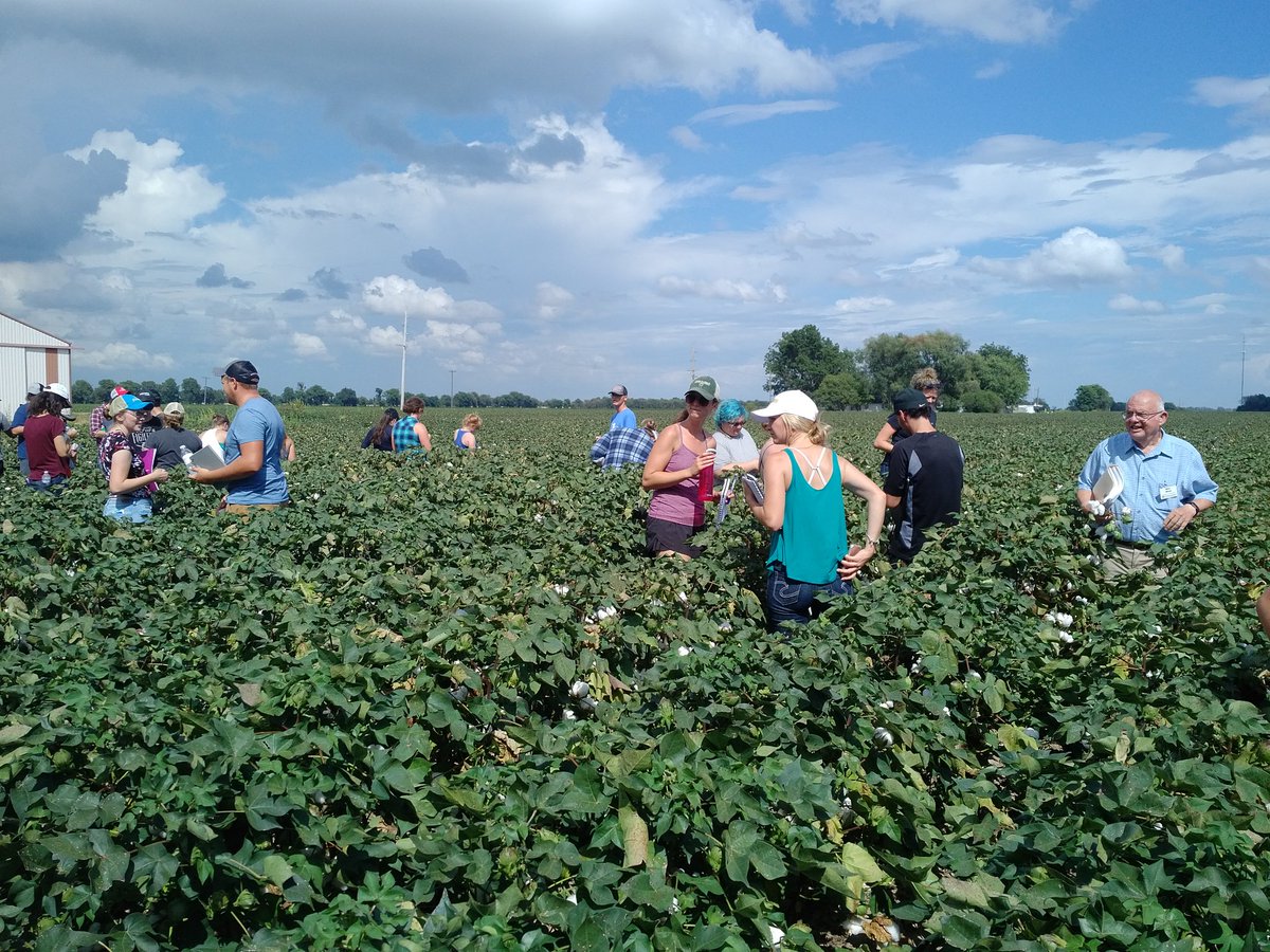 OAC Midwest tour 2018 in the cotton fields of Missouri.