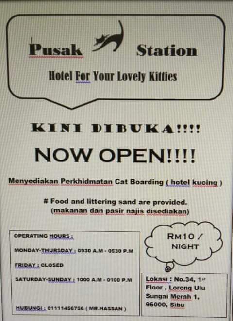 ainjapar95's tweet photo. ..menyediakan perkhidmatan boarding untuk kucing kesayangan anda.. hubungi en. Hassan untuk keterangan lebih lnjut 01111456756 https://t.co/uX5I4x0KWX