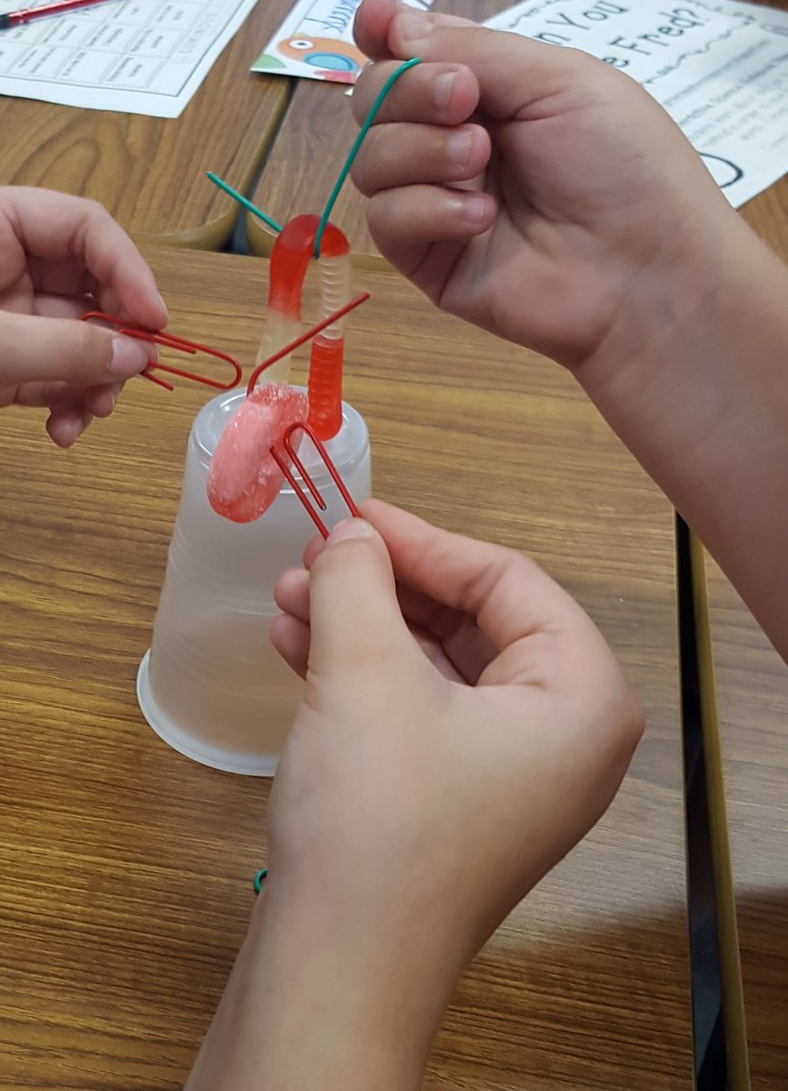 JAG00815's tweet photo. Fantastic start to the year! Every team in the class was able to save Fred, make a new friend, and have some STEM fun!! #TeamWork #ProblemSolving
@BeekmantownCSD #CHESwearethebest https://t.co/mAoSlNaW8U