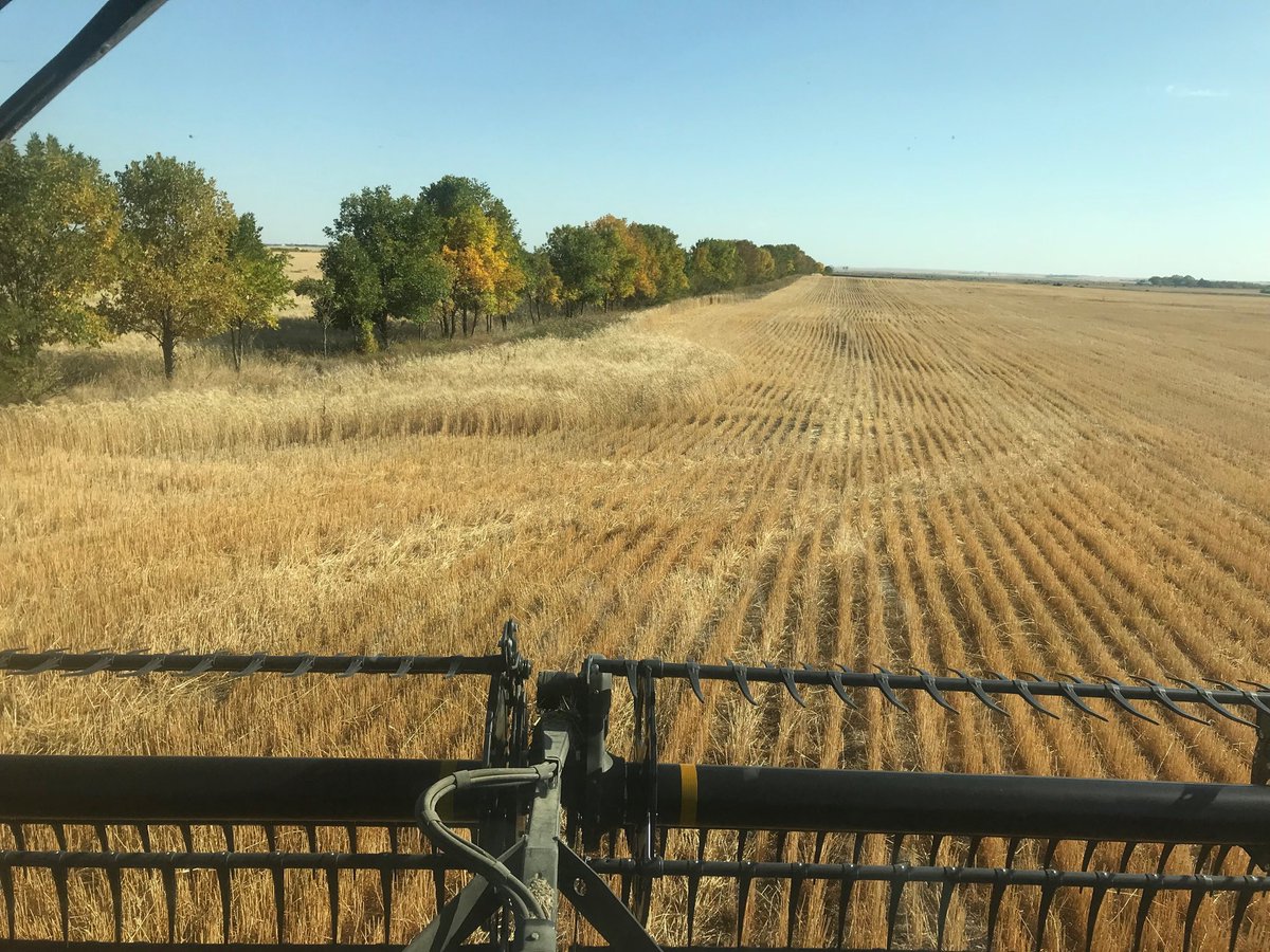WalkedenGerald's tweet photo. The end of harvest 18 ! Big thanks to Rick Freeman and crew on good job of green lighting our two 9760 s .30 days and 500 hours no serious stops ! Sure don’t see any pheasants even in tree rows ? https://t.co/ouaEBarmwQ