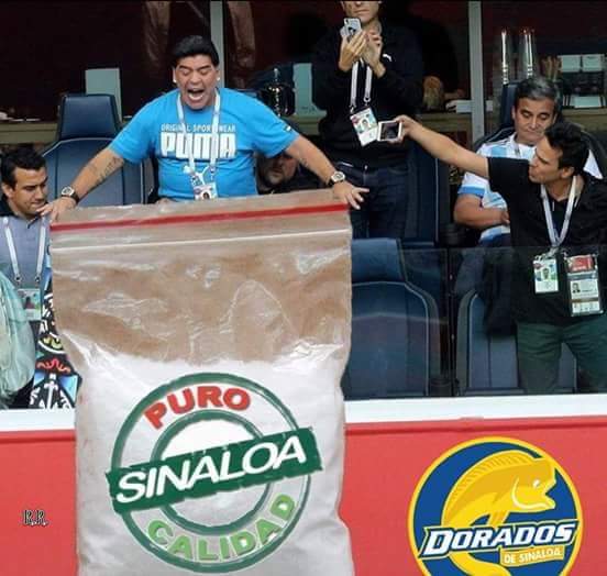 daYculichi's tweet photo. Dorados de Sinaloa es tendencia por la llegada de Maradona, movimiento mediático o chiste de la directiva? 
#HazlaDeDiez #hazladepez https://t.co/NYgeWVmtyu