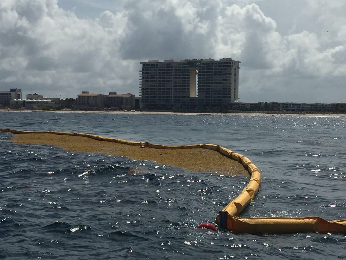 daviddelapaz's tweet photo. Las barreras de contención de sargazo instaladas en la costa de #Cancún por #Goimar Logística y Servicios son producto de tecnología desarrollada en #México por especialistas mexicanos que representan un referente a nivel internacional para el manejo de la contingencia ambiental https://t.co/AWV0lyZBLJ