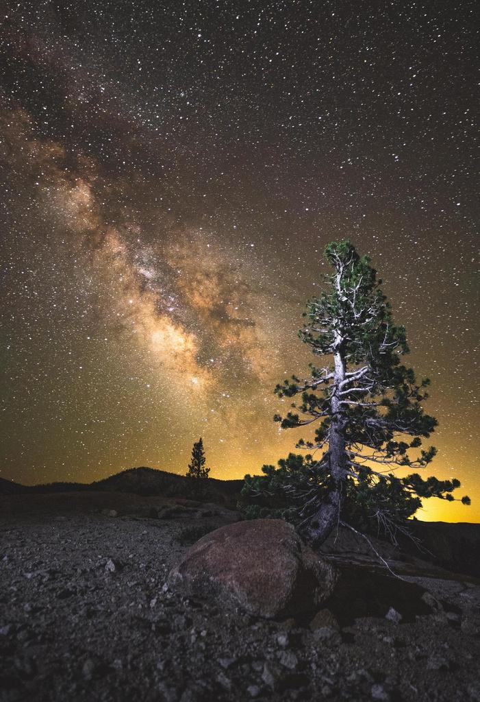 taiga_codex's tweet image. exposenature:

  Cosmos in Yosemite NP [3701x5403] [oc] #nature #landscape #wilderness #earth See more: taiga-codex.com