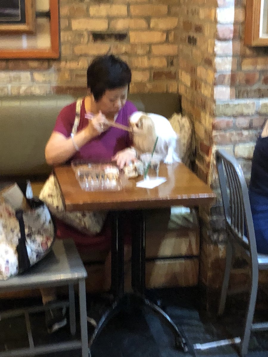 Nick DiCinti tweet media