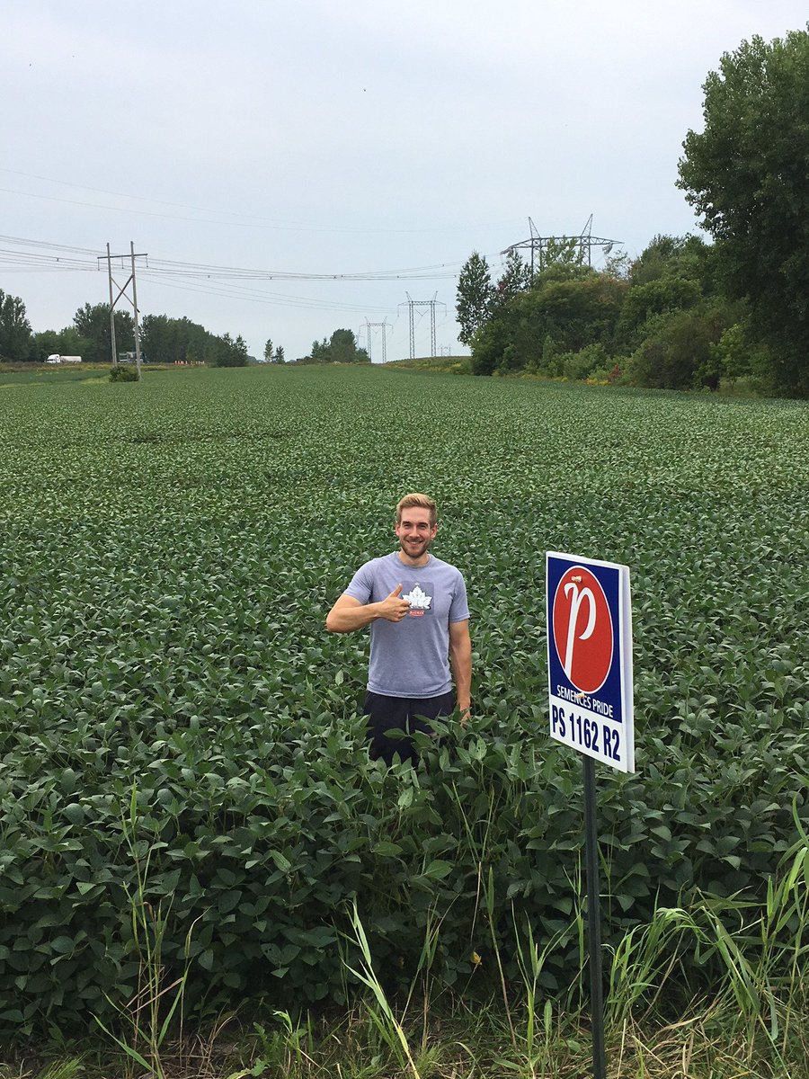 SEMENCESPRIDE's tweet photo. Éric Clouatre dans un superbe champs de soya Pride PS1162R2 de la ferme André Clouatre et Johanne Vincent à Ste-Angèle de Monnoir.
#SemencesPRIDE #AxéPerformance https://t.co/ZocUYfavBb