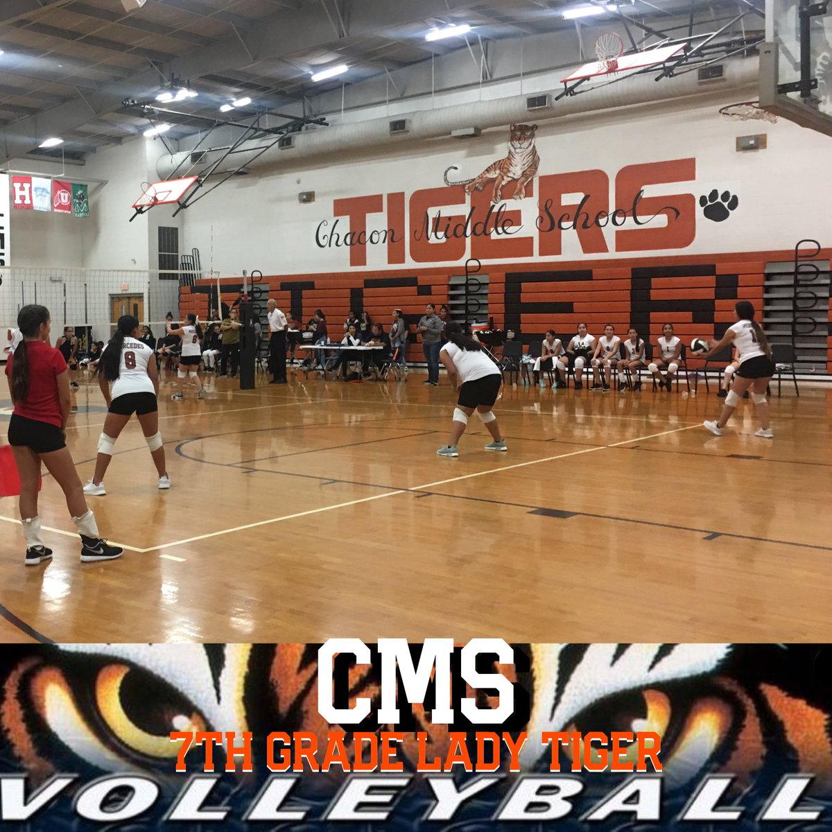 CMS_MISD's tweet photo. Sgt. Manuel Chacon MS 7th grade Volleyball Team on Fire!🔥🔥🔥🔥🔥🔥🔥🔥🔥🔥🔥#1stGame #ChaconReady #ChaconPride #MercedesISD #NewSchoolYear #TheTigerWay #GoTigers @MercedesSchools https://t.co/LTFUiyzWfm