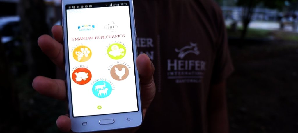 Heifer's tweet photo. In Guatemala, rural farmers are going high-tech to tackle challenges on their farms. https://t.co/buDTsqehRz https://t.co/nhiBI8SMnI