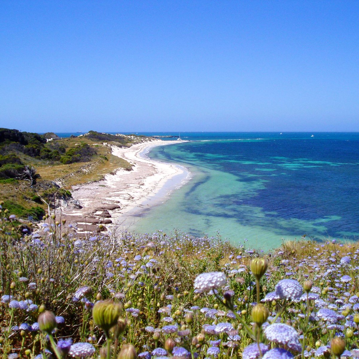 Rottnest Express tweet media