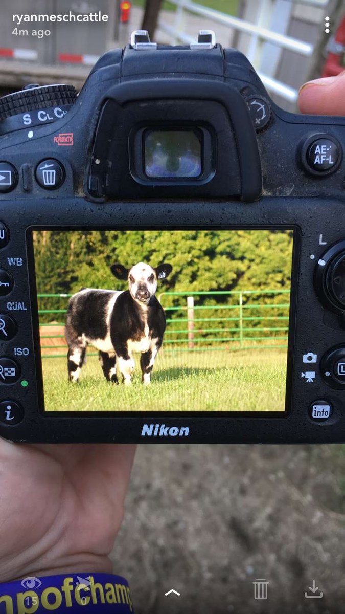 mesch_ryan's tweet photo. Coon Eyes got his time in the spotlight today https://t.co/8xaXR8Rh70