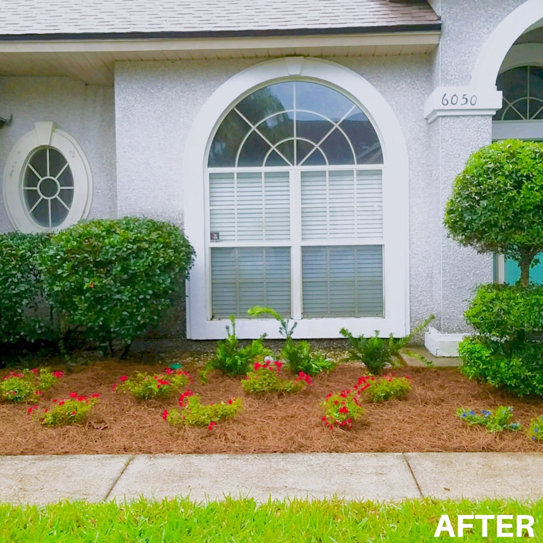 JaxLandscaping's tweet photo. 🏡 #Landscaping | #CurbAppeal • Before | After • 
____
🔎 https://t.co/keSDt1wm2e
📞 o.#904-553-0108
_____
#LandscapeDesign #Jacksonville #FL #jaxhome #garden #design https://t.co/0nRVot9f3h