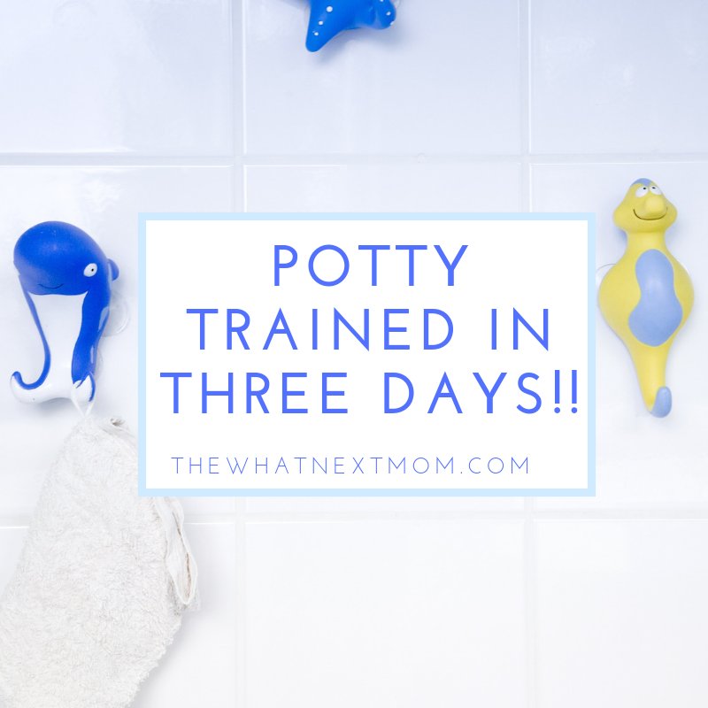 leighannzerr's tweet photo. I actually managed to potty train my child in three days! What?! Here's how I did it: https://t.co/WX7BPGXUAz #momlife #parenting https://t.co/E4bTt0ncu2