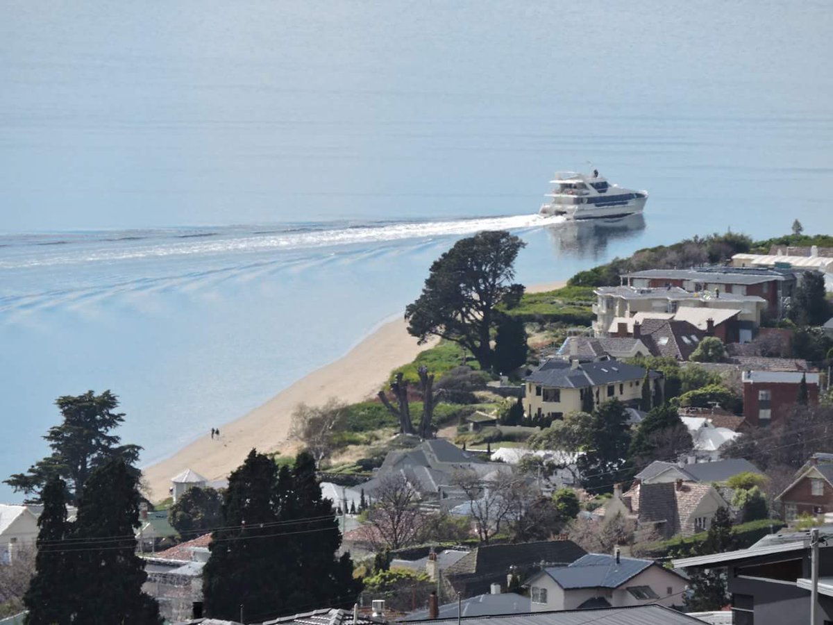 greg_faull's tweet photo. Happy Friday. 

Just noticed the @PeppermintBay passenger vessel going by the beautiful Long Beach, Sandy Bay, and never realised before just how close it comes to the beach. What a lovely sight on a Friday. Enjoy the weekend all 🤸‍♀️🤸‍♂️
#Tasmania https://t.co/Uvnd4KVsMt
